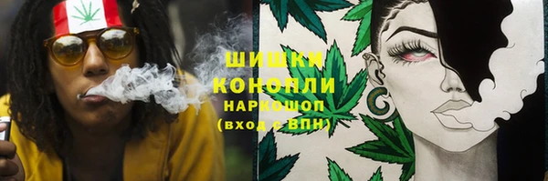 марки lsd Белокуриха