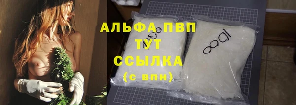 молекула духа Белоозёрский