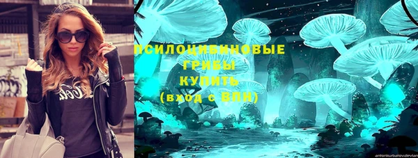 молекула духа Белоозёрский