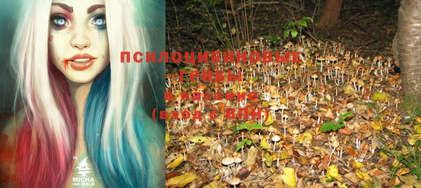 a pvp Беломорск